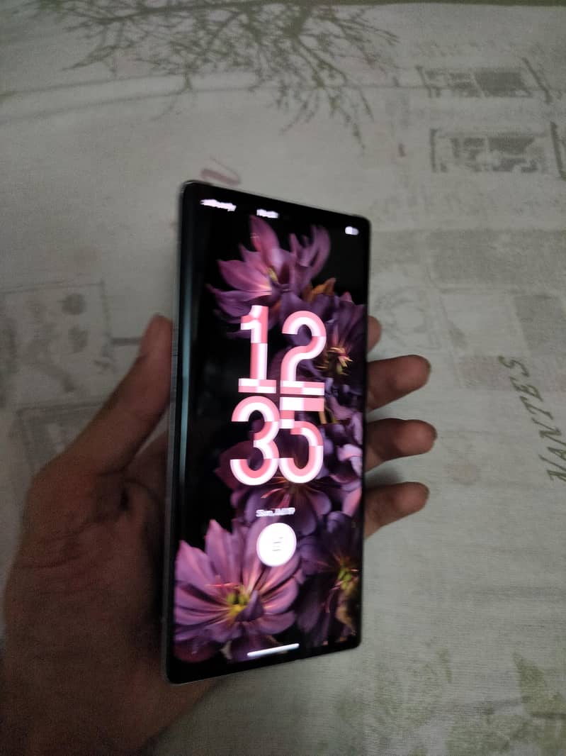 Google Pixel 6 Pro 1