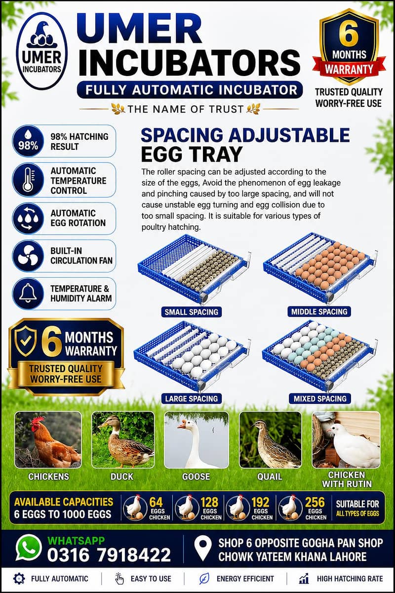 Automatic Egg Incubator | Egg Hatching Machine | Incubator | Brooder 2