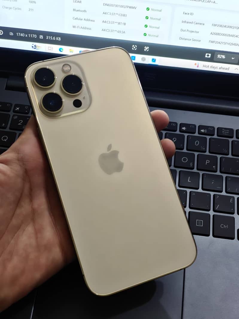 Iphone 13 pro max 1