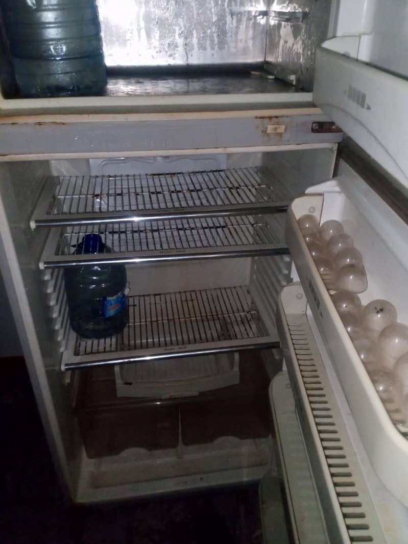 fridge 1
