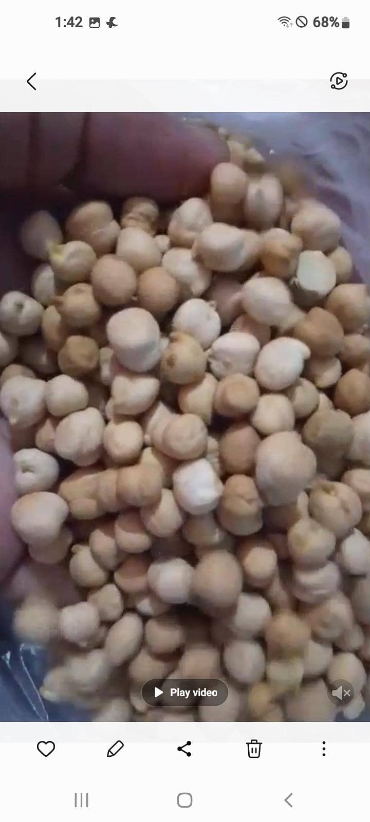 kable chana 1