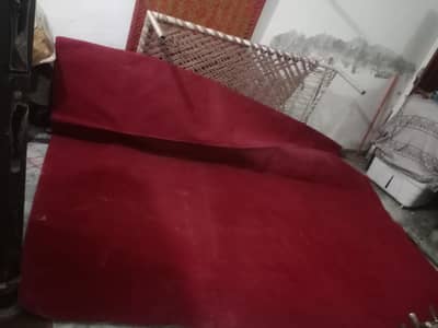 carpert for sale