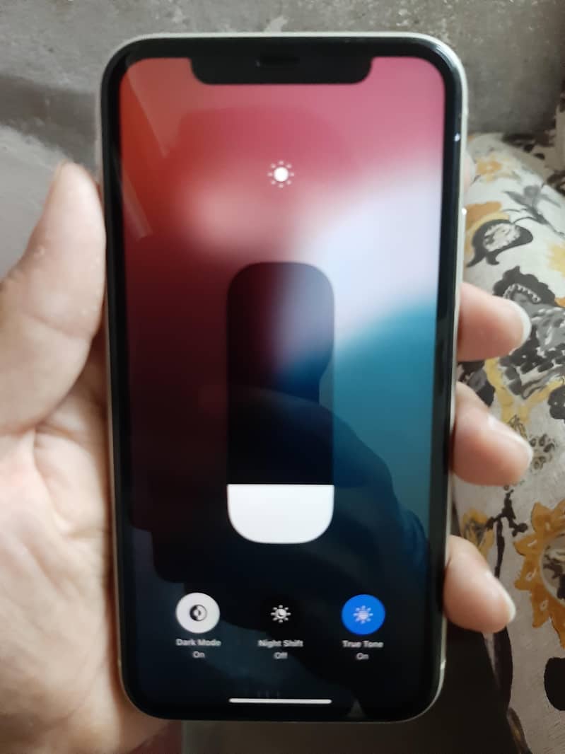 Apple iPhone 11 4