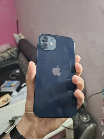 Apple iPhone 12