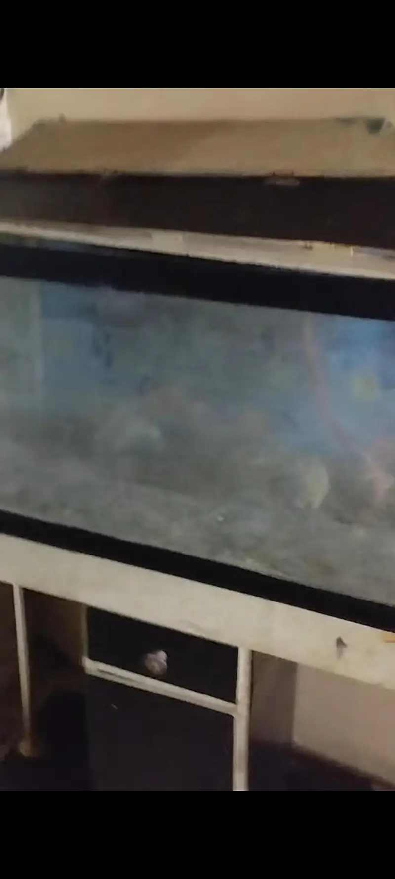 fish aquarium 1.5 by 3 — photo 3