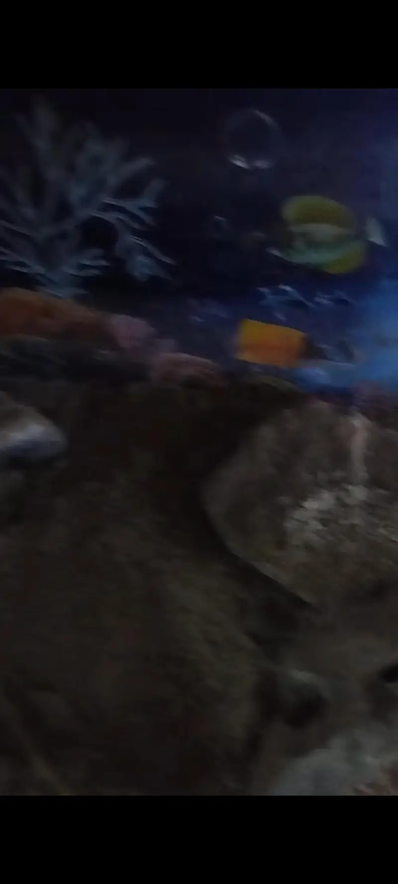 fish aquarium 1.5 by 3 — photo 4