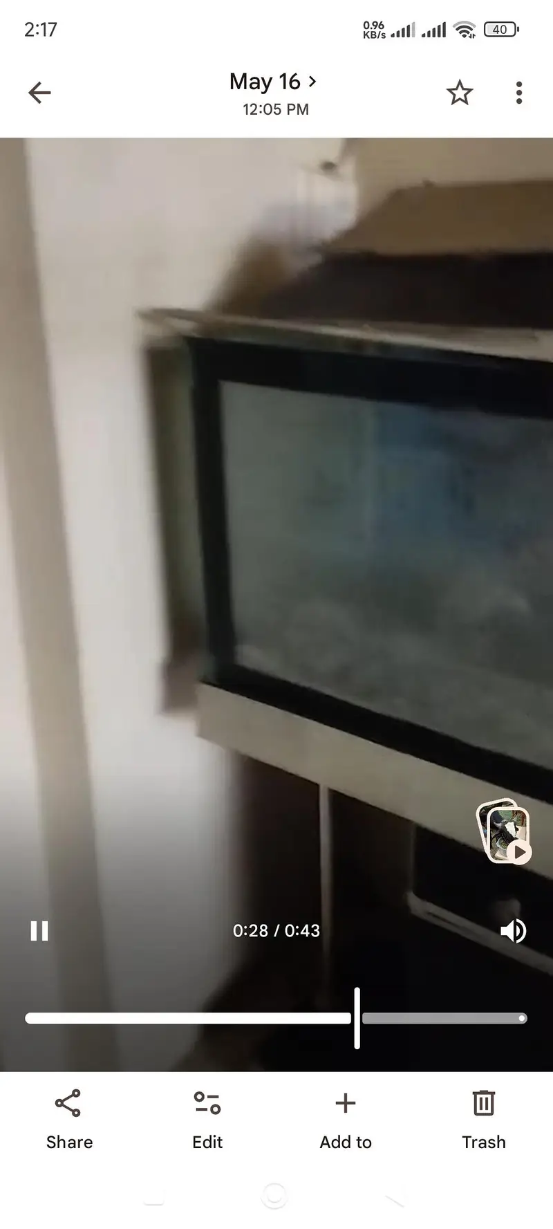 fish aquarium 1.5 by 3 — photo 5