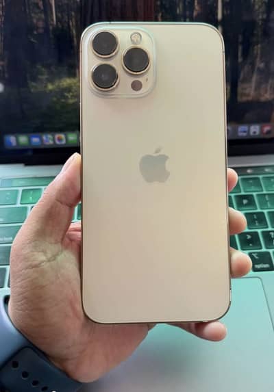 Apple iPhone 13 Pro Max