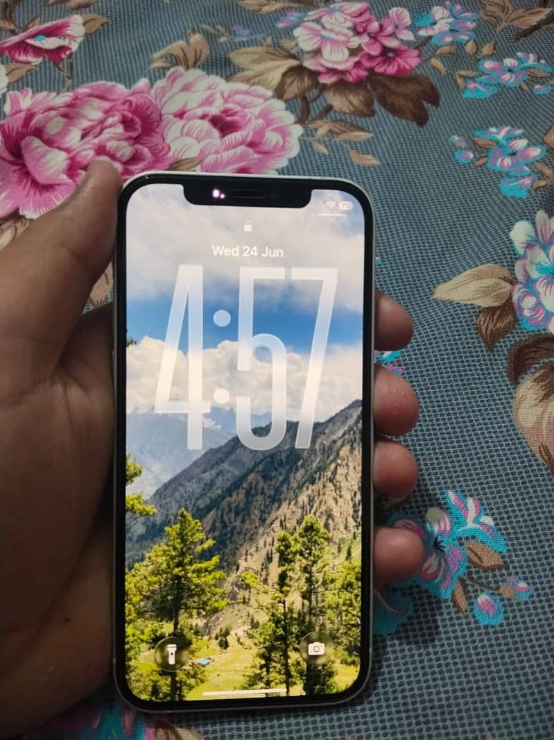 Apple iPhone 12 0