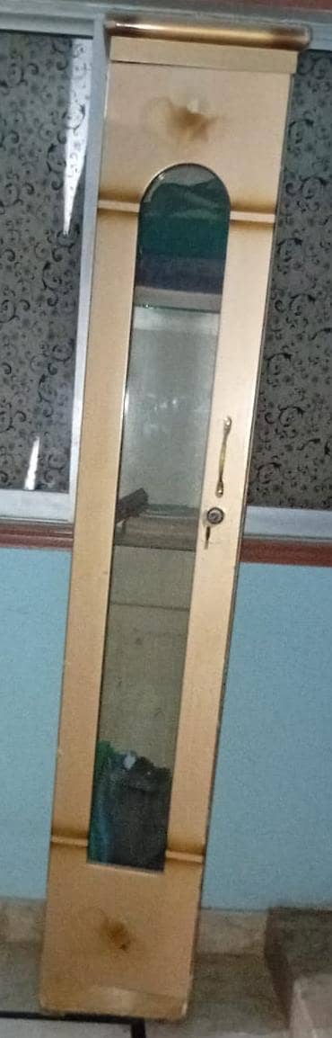 Wooden Wall-Mounted Storage Shelf with Glass Panel
