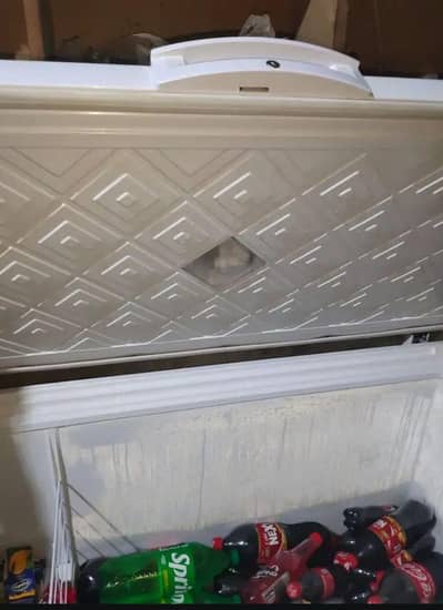 waves deep freezer
