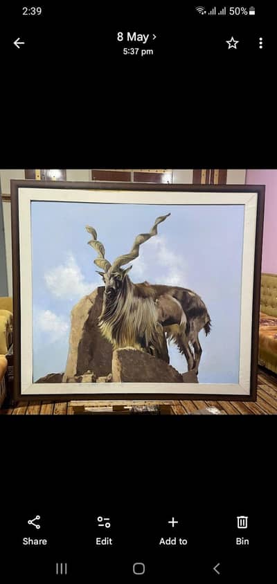 markhor oil painting