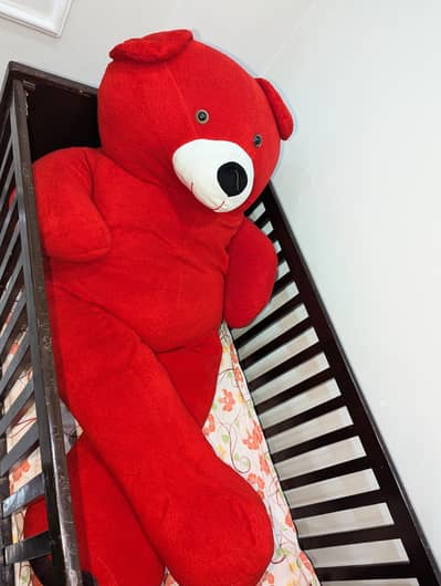 6 feet teedy bear
