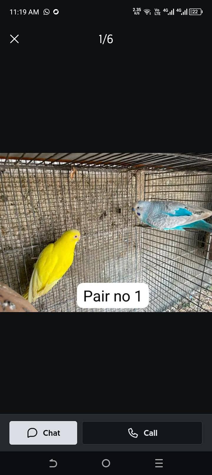 undefined 0