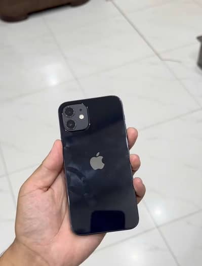 iPhone 12