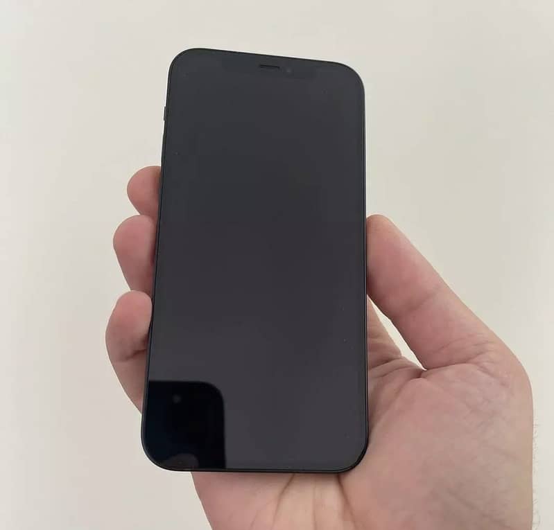 iPhone 12 1