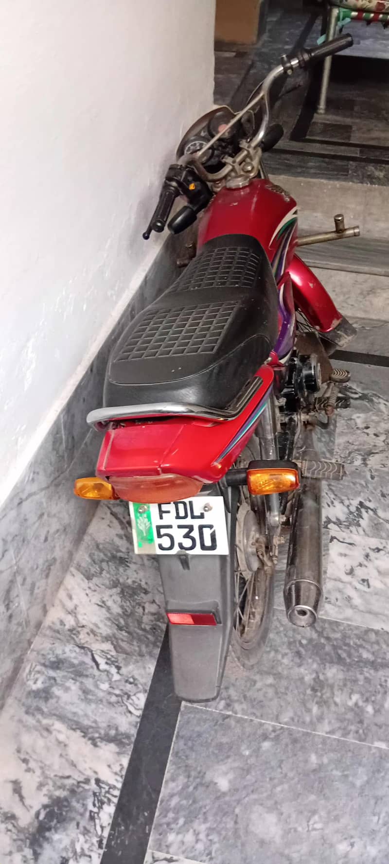 03037730036 2
