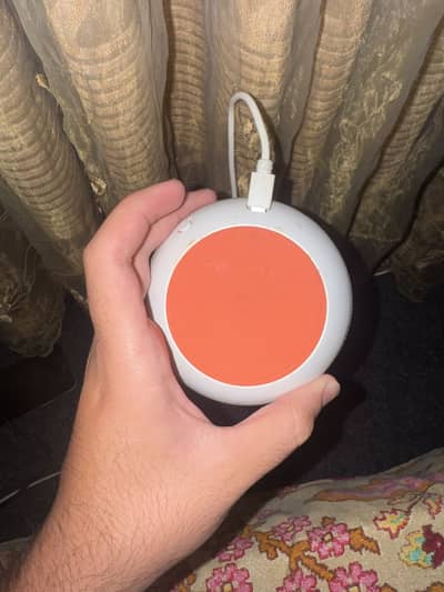 Google home mini