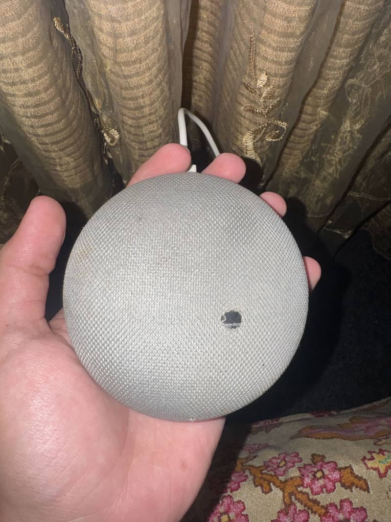 Google home mini 1