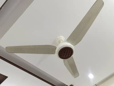 3 Wahid Fans for sale