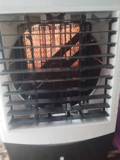Air Cooler