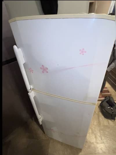 Hair Refrigerator