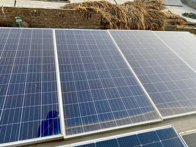 320W Original jinko A+Solar Panel 5 adad