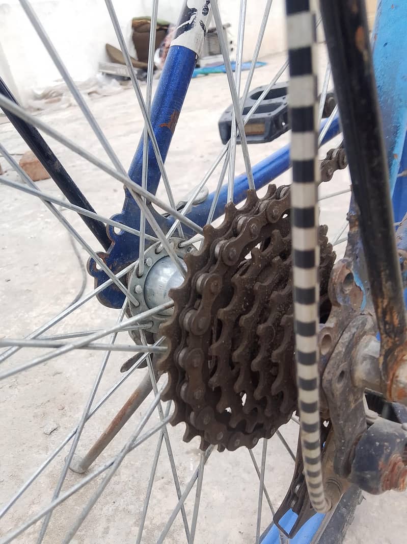 bicycle 2