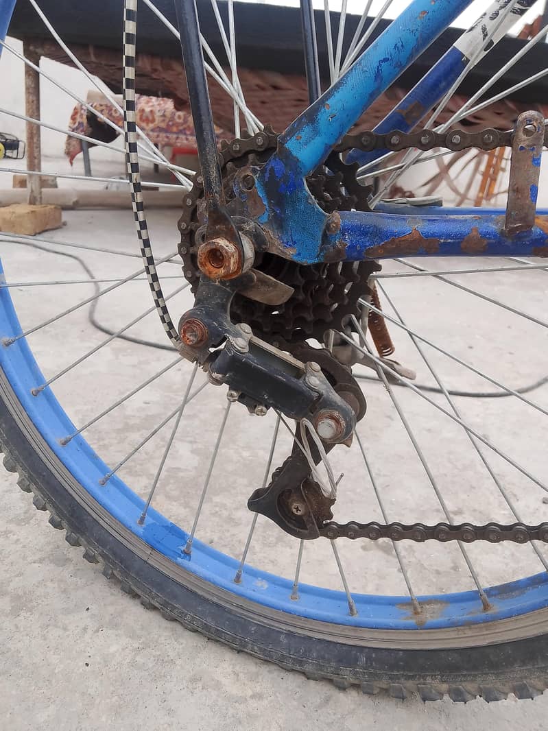bicycle 3