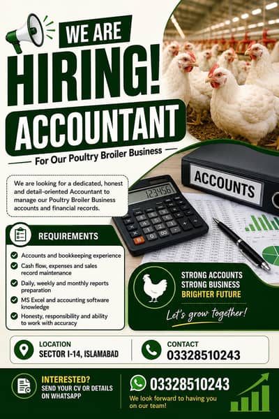 Accountant Job