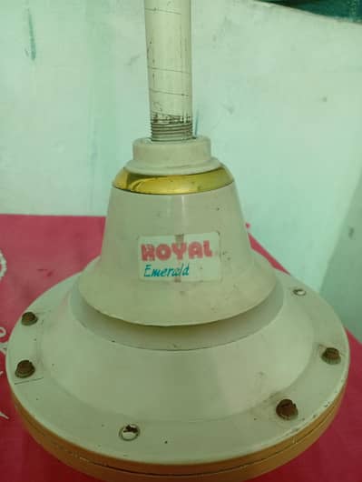 Royal Fan