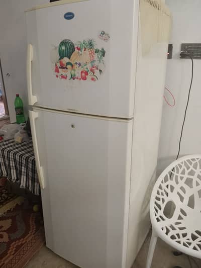 Samsung Cooltect Bio Freezer & Refrigerator