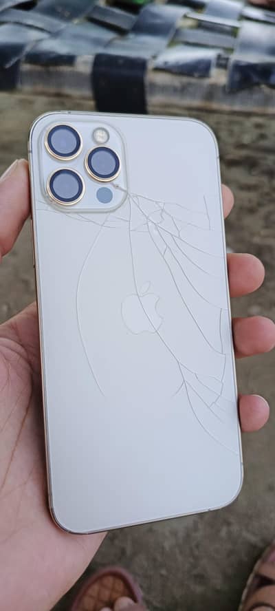 Apple iPhone 12 Pro