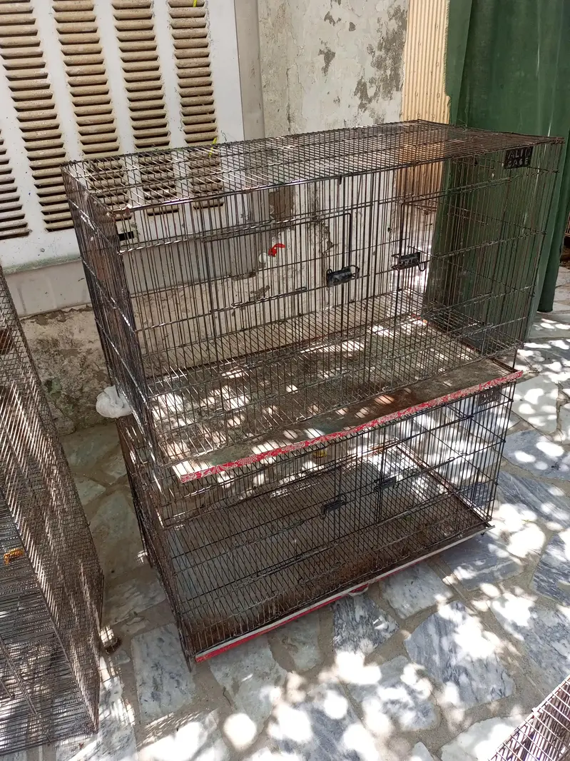 rabbit cages birds cages for sale — photo 2