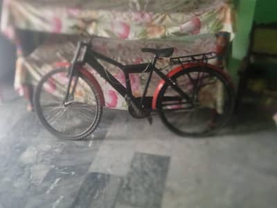 bicycle 