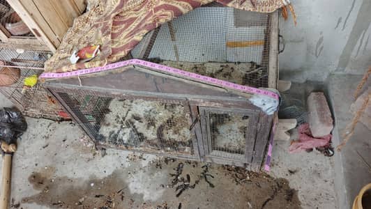 paki lakri ka cage for sale