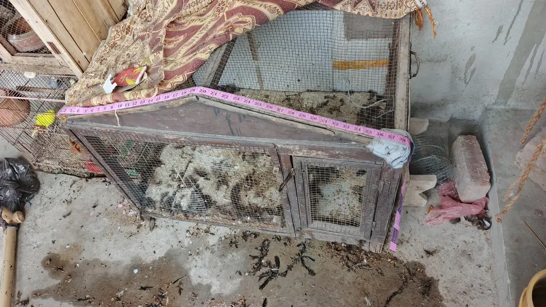 paki lakri ka cage for sale