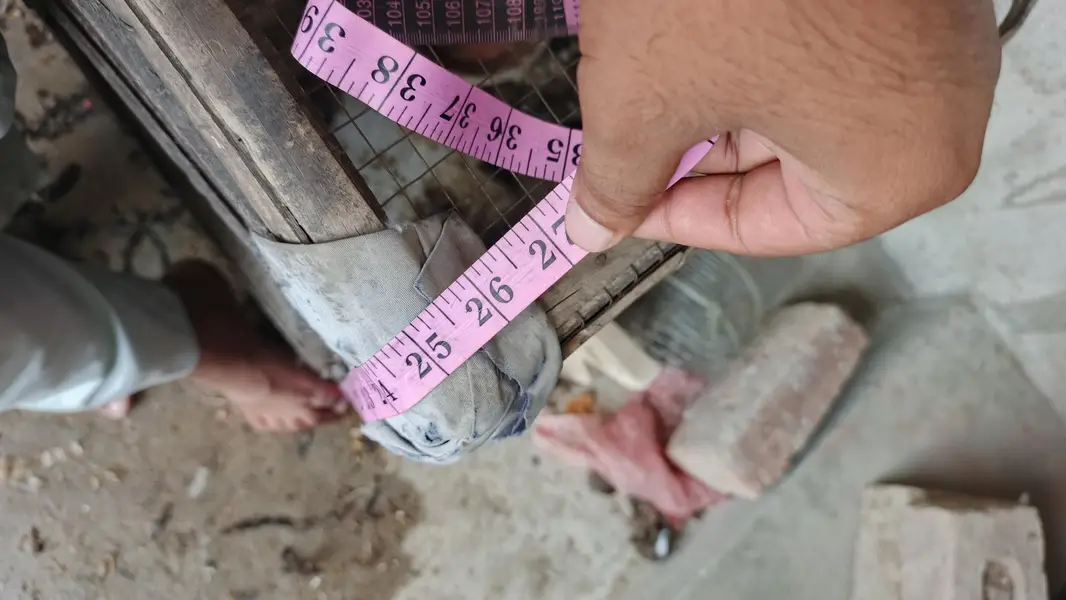 paki lakri ka cage for sale — photo 5