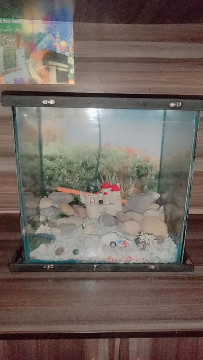 equirium home decore