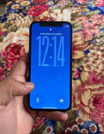 Apple iPhone 12 mini