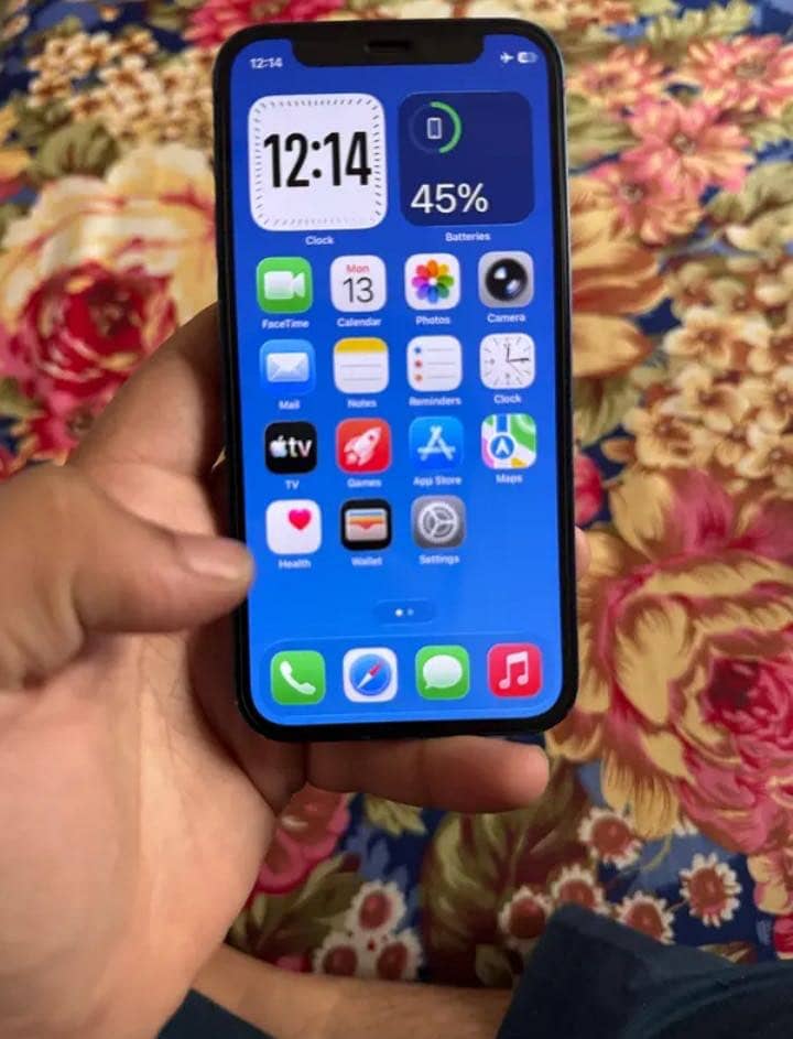 Apple iPhone 12 mini 4