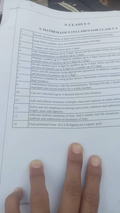assingment writing