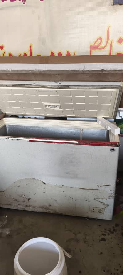 PEL freezer for sale