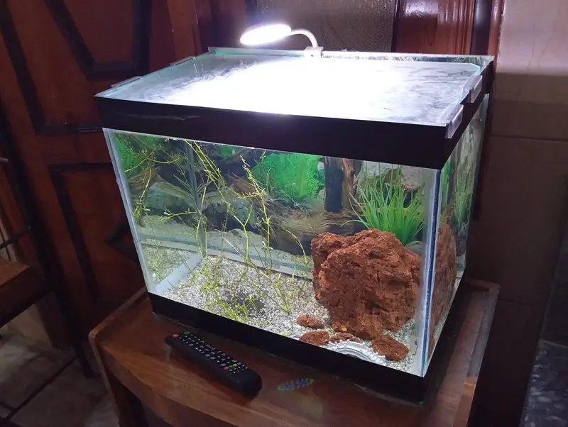 Aquarium Glass Box — photo 2