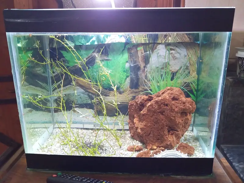 Aquarium Glass Box — photo 3