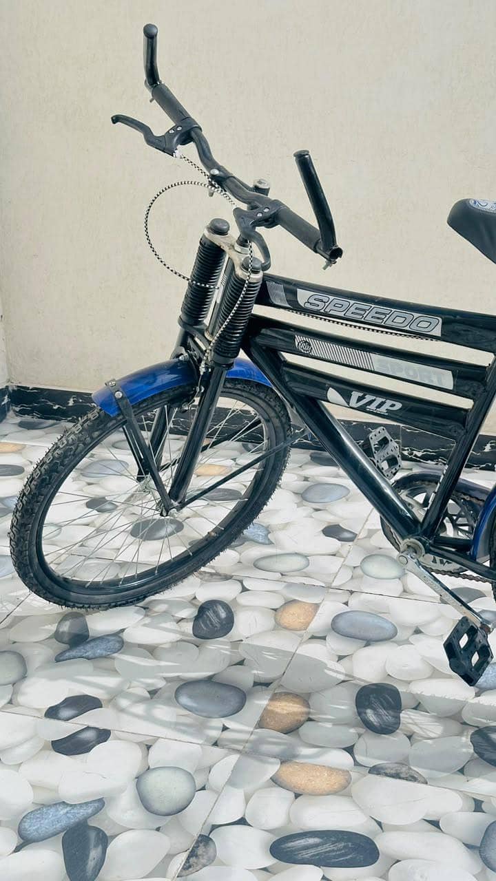 Cycle Speedo 1