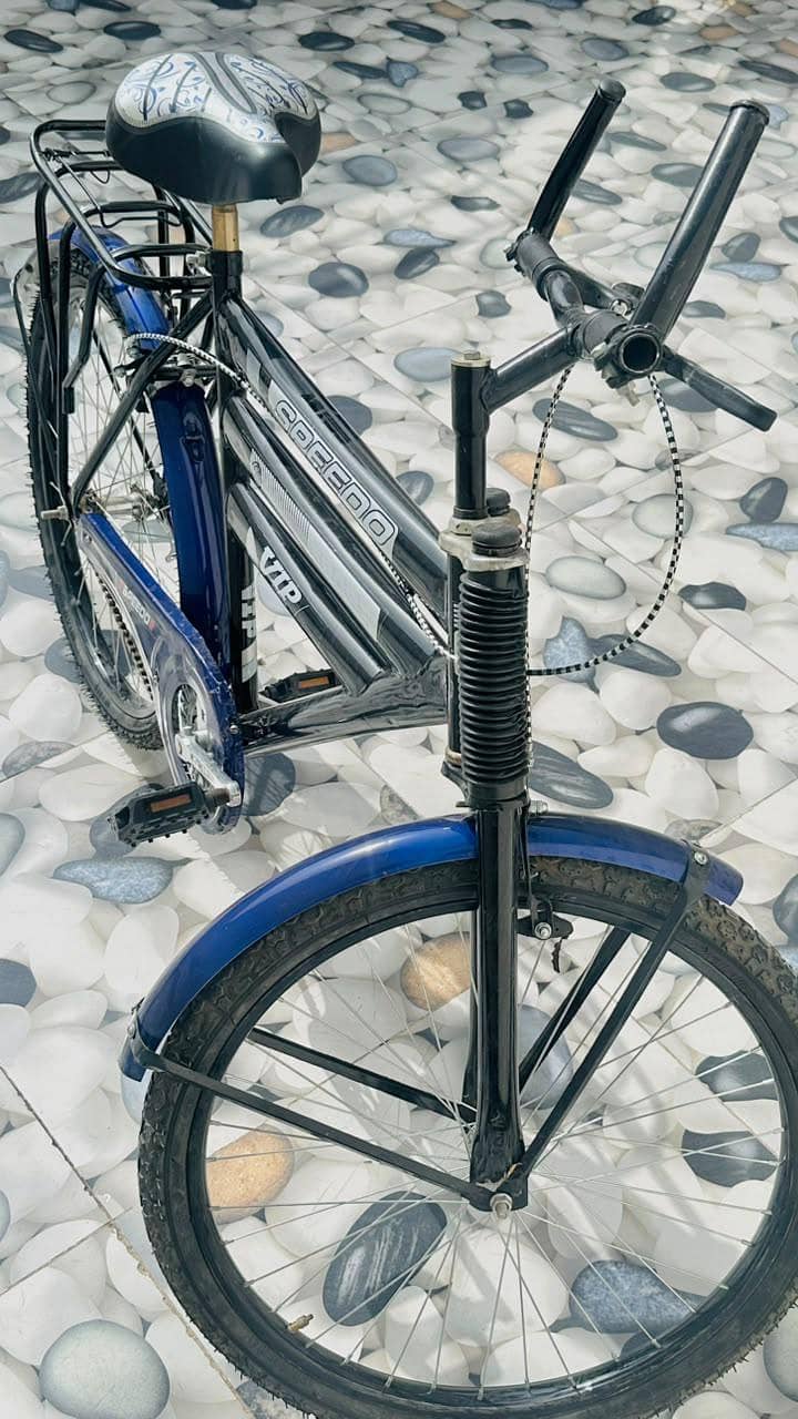 Cycle Speedo 4