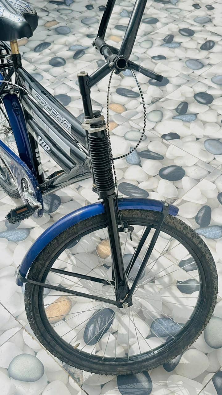 Cycle Speedo 7