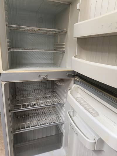 fridge