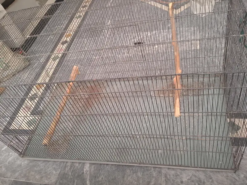 BREEDING CAGES — photo 3